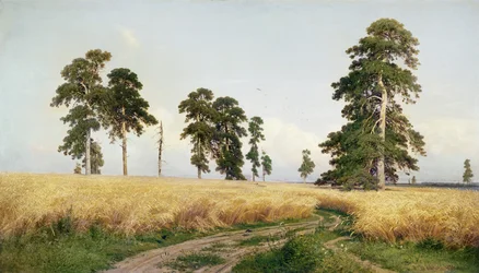 Hveteåkeren, 1878